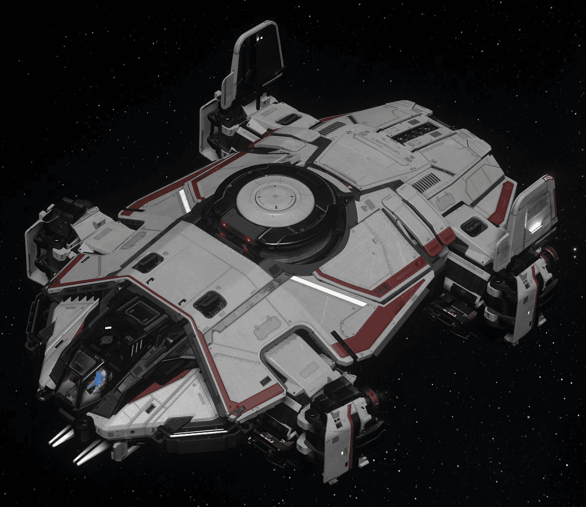 Image of Terrapin